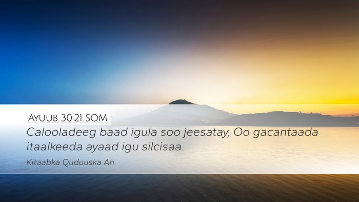 Ayuub 30:21 SOM Bible Verse Image