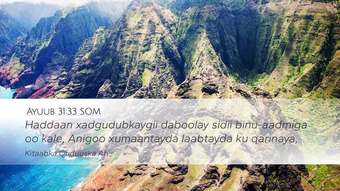 Ayuub 31:33 SOM Bible Verse Image