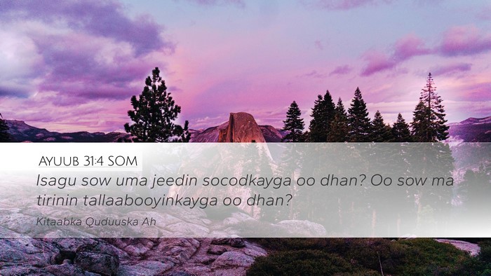 Ayuub 31:4 SOM Bible Verse Image