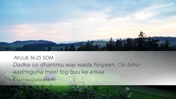 Ayuub 36:25 SOM Desktop Wallpaper - Dadka oo dhammu way wada fiiriyeen, Oo - Desktop Bible Verse Wallpaper