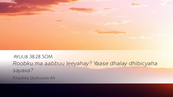 Ayuub 38:28 SOM Desktop Wallpaper - Roobku ma aabbuu leeyahay? Yaase dhalay - Desktop Bible Verse Wallpaper