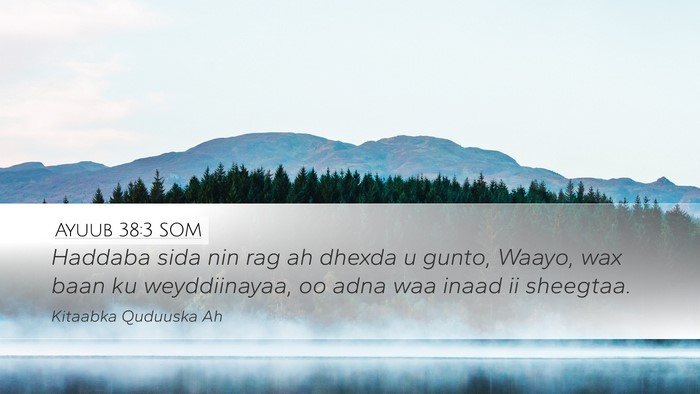 Ayuub 38:3 SOM Bible Verse Image