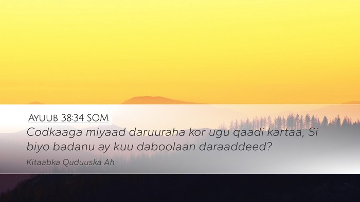 Ayuub 38:34 SOM Bible Verse Image