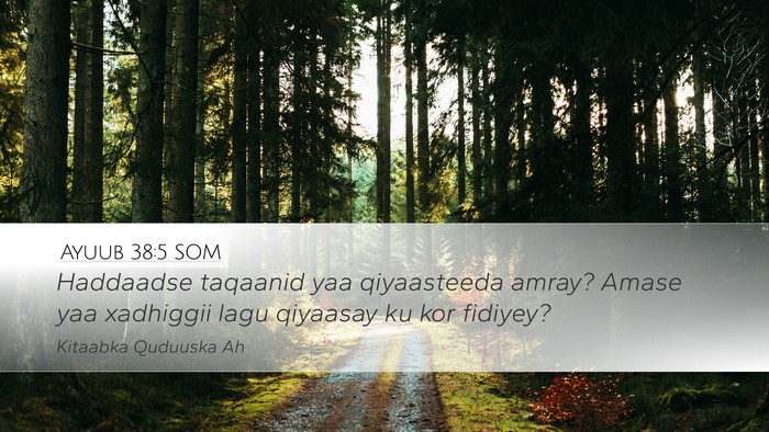 Ayuub 38:5 SOM Bible Verse Image
