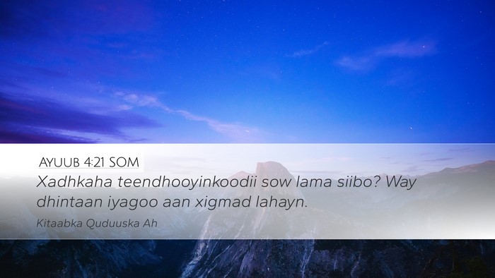 Ayuub 4:21 SOM Bible Verse Image