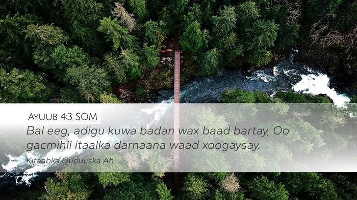 Ayuub 4:3 SOM Bible Verse Image