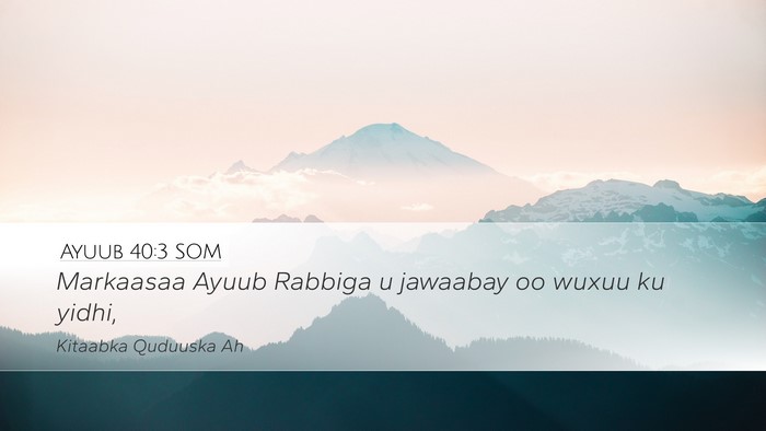 Ayuub 40:3 SOM Desktop Wallpaper - Markaasaa Ayuub Rabbiga u jawaabay oo wuxuu ku - Desktop Bible Verse Wallpaper