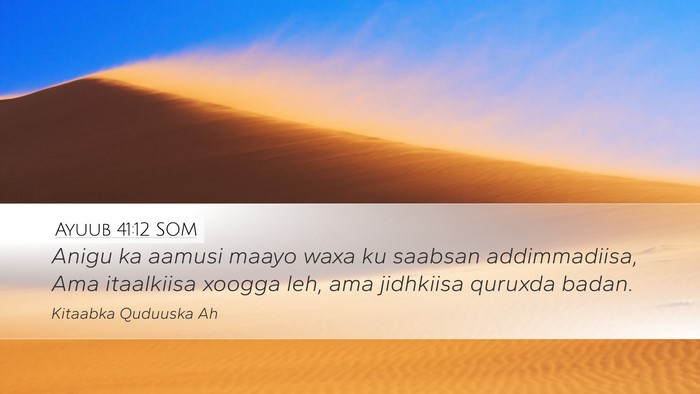 Ayuub 41:12 SOM Desktop Wallpaper - Anigu ka aamusi maayo waxa ku saabsan - Desktop Bible Verse Wallpaper