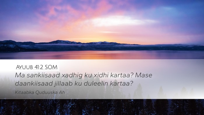 Ayuub 41:2 SOM Bible Verse Image