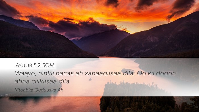 Ayuub 5:2 SOM Bible Verse Image
