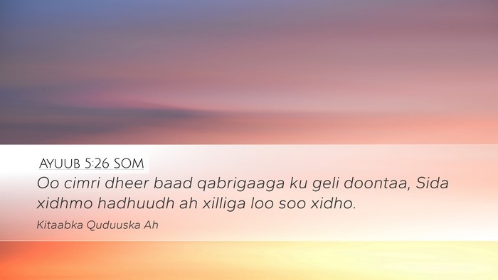 Ayuub 5:26 SOM Bible Verse Image