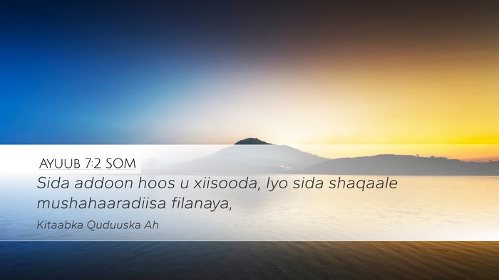 Ayuub 7:2 SOM Desktop Wallpaper - Sida addoon hoos u xiisooda, Iyo sida shaqaale - Desktop Bible Verse Wallpaper