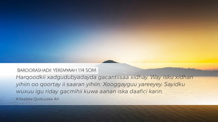 Baroorashadii Yeremyaah 1:14 SOM Bible Verse Image