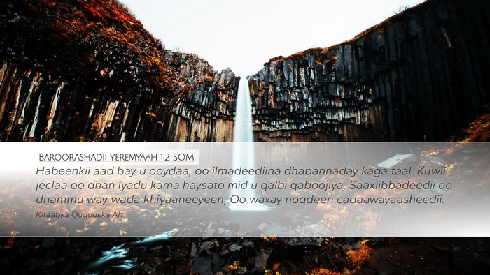 Baroorashadii Yeremyaah 1:2 SOM Bible Verse Image