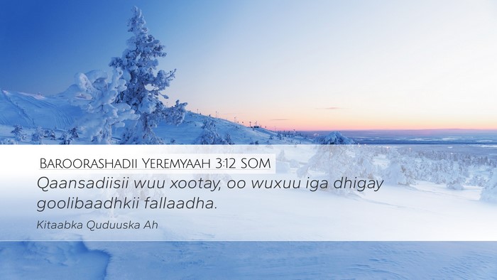 Baroorashadii Yeremyaah 3:12 SOM Bible Verse Image