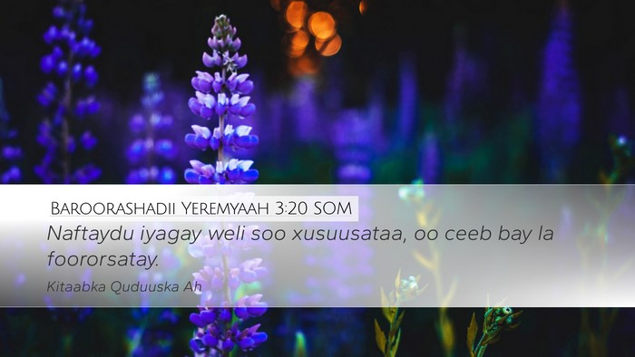 Baroorashadii Yeremyaah 3:20 SOM Bible Verse Image