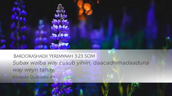 Baroorashadii Yeremyaah 3:23 SOM Bible Verse Image