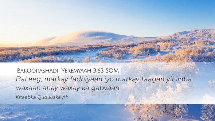Baroorashadii Yeremyaah 3:63 SOM Bible Verse Image