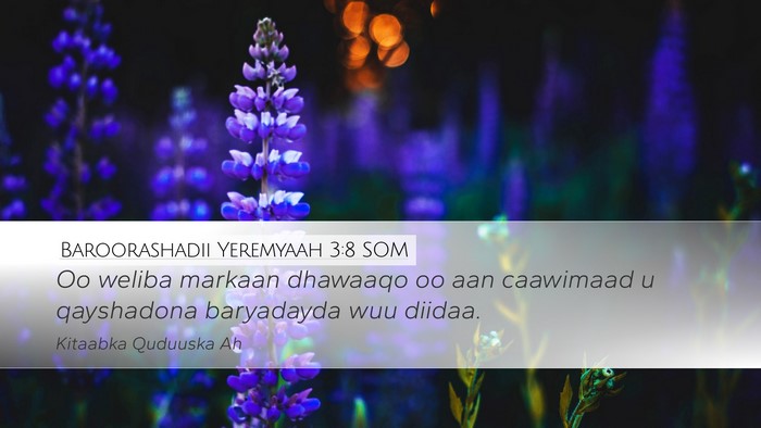 Baroorashadii Yeremyaah 3:8 SOM Bible Verse Image