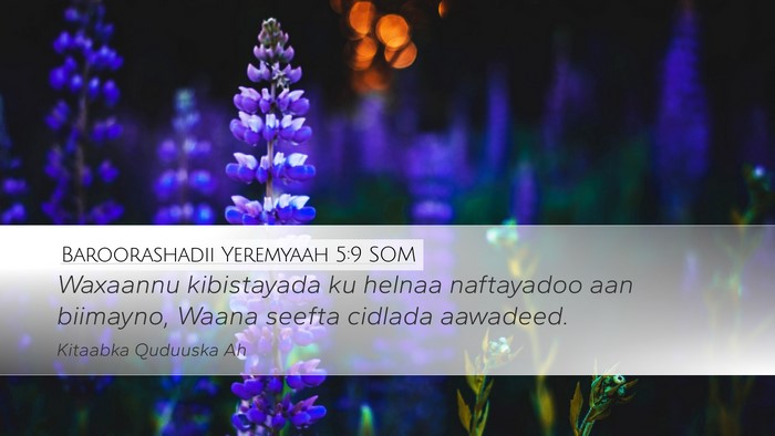 Baroorashadii Yeremyaah 5:9 SOM Bible Verse Image