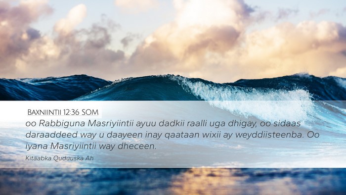 Baxniintii 12:36 SOM Bible Verse Image