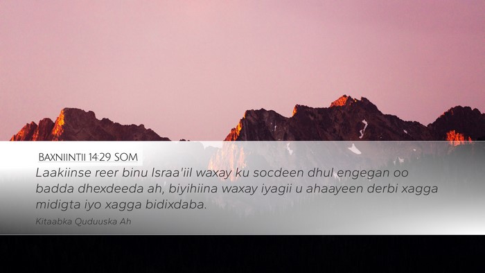 Baxniintii 14:29 SOM Bible Verse Image