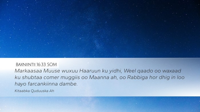Baxniintii 16:33 SOM Bible Verse Image
