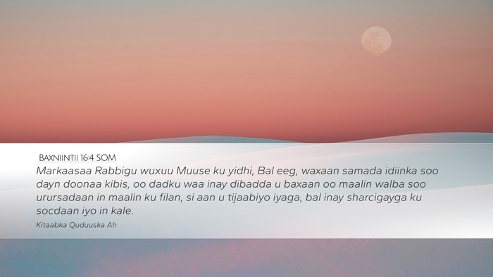 Baxniintii 16:4 SOM Bible Verse Image