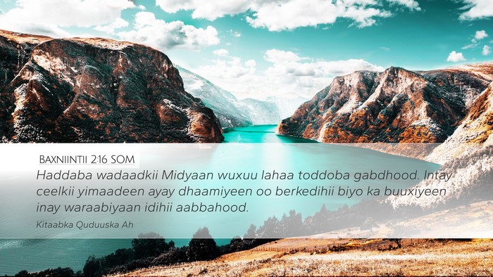 Baxniintii 2:16 SOM Bible Verse Image