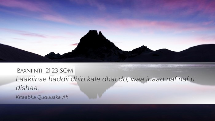 Baxniintii 21:23 SOM Bible Verse Image