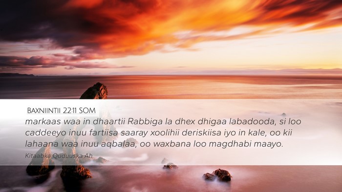 Baxniintii 22:11 SOM Bible Verse Image