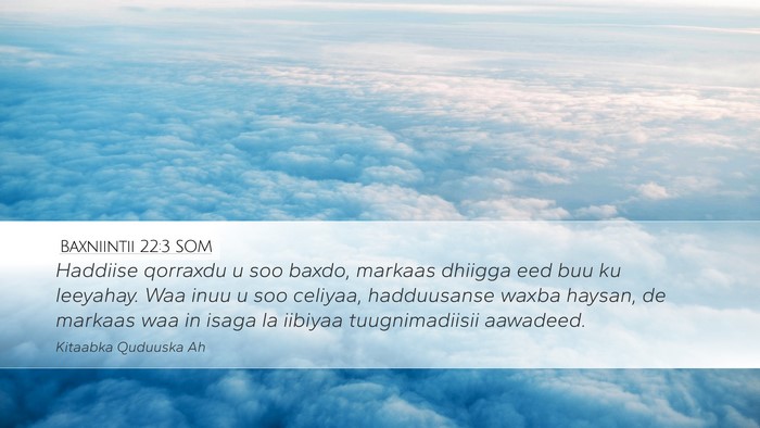 Baxniintii 22:3 SOM Desktop Wallpaper - Haddiise qorraxdu u soo baxdo, markaas dhiigga - Desktop Bible Verse Wallpaper