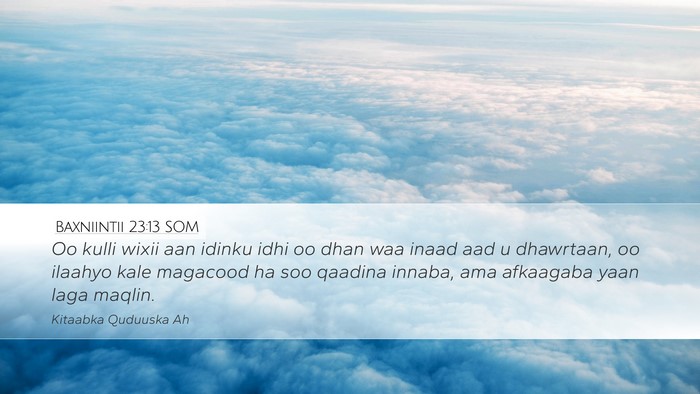 Baxniintii 23:13 SOM Bible Verse Image