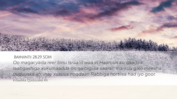 Baxniintii 28:29 SOM Bible Verse Image