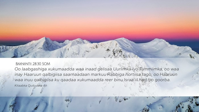 Baxniintii 28:30 SOM Bible Verse Image