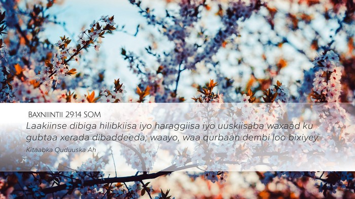 Baxniintii 29:14 SOM Bible Verse Image