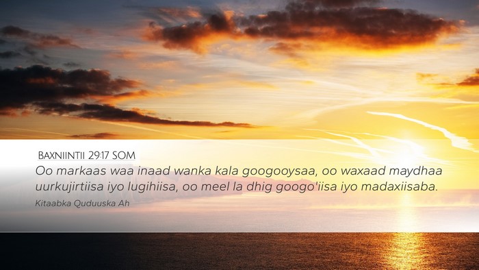 Baxniintii 29:17 SOM Bible Verse Image