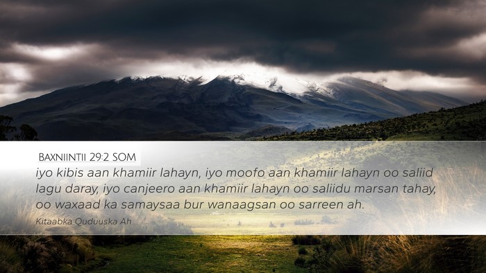 Baxniintii 29:2 SOM Bible Verse Image