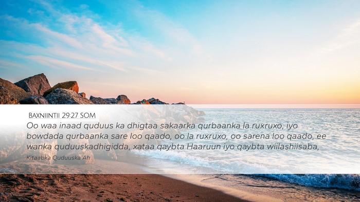 Baxniintii 29:27 SOM Bible Verse Image