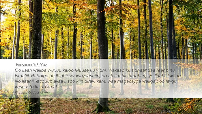 Baxniintii 3:15 SOM Bible Verse Image