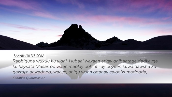 Baxniintii 3:7 SOM Bible Verse Image