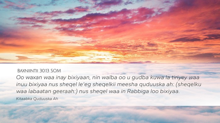 Baxniintii 30:13 SOM Bible Verse Image