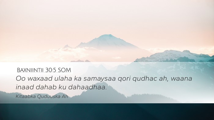 Baxniintii 30:5 SOM Bible Verse Image