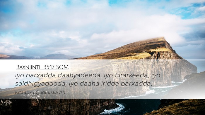 Baxniintii 35:17 SOM Desktop Wallpaper - iyo barxadda daahyadeeda, iyo tiirarkeeda, iyo - Desktop Bible Verse Wallpaper