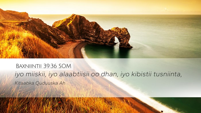 Baxniintii 39:36 SOM Bible Verse Image