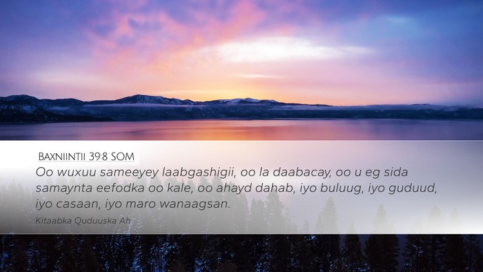 Baxniintii 39:8 SOM Bible Verse Image