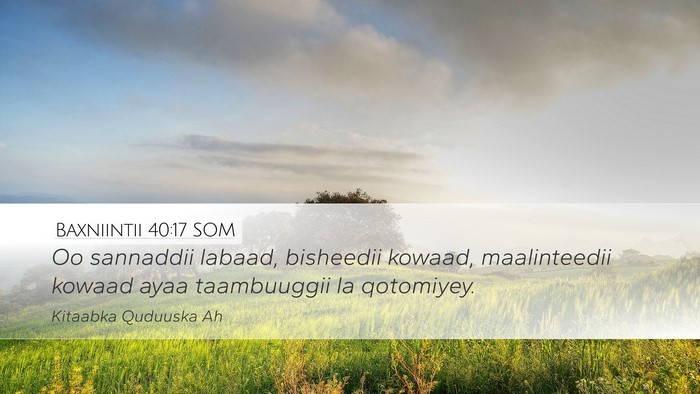 Baxniintii 40:17 SOM Bible Verse Image