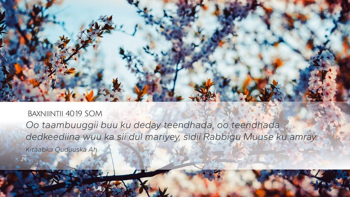 Baxniintii 40:19 SOM Bible Verse Image