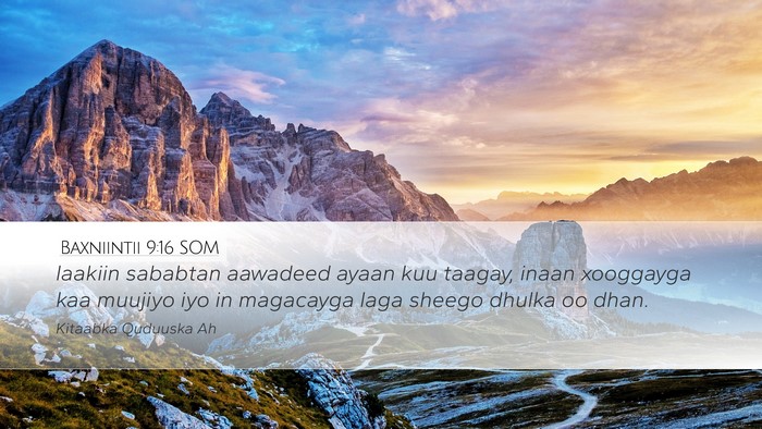 Baxniintii 9:16 SOM Bible Verse Image