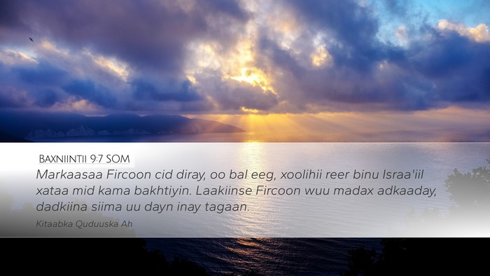 Baxniintii 9:7 SOM Desktop Wallpaper - Markaasaa Fircoon cid diray, oo bal eeg, xoolihii - Desktop Bible Verse Wallpaper